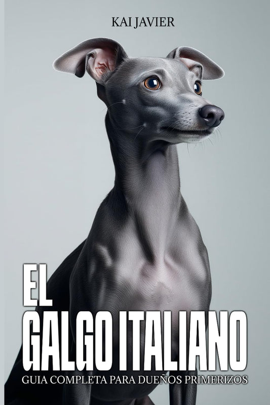 EL GALGO ITALIANO