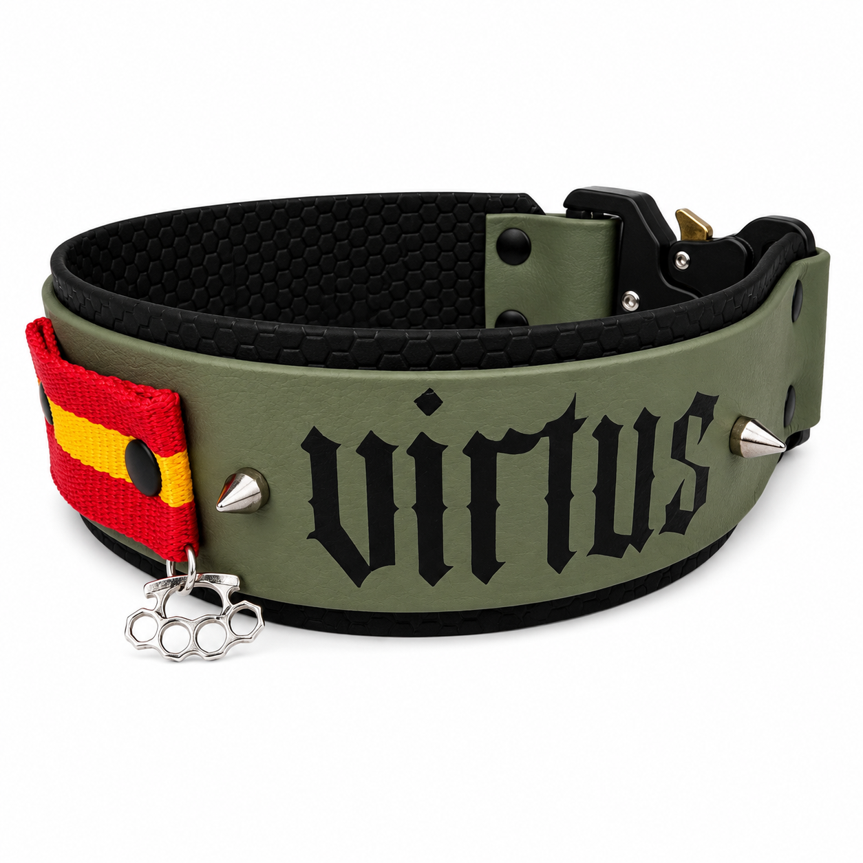 FORTIS VIRTUS