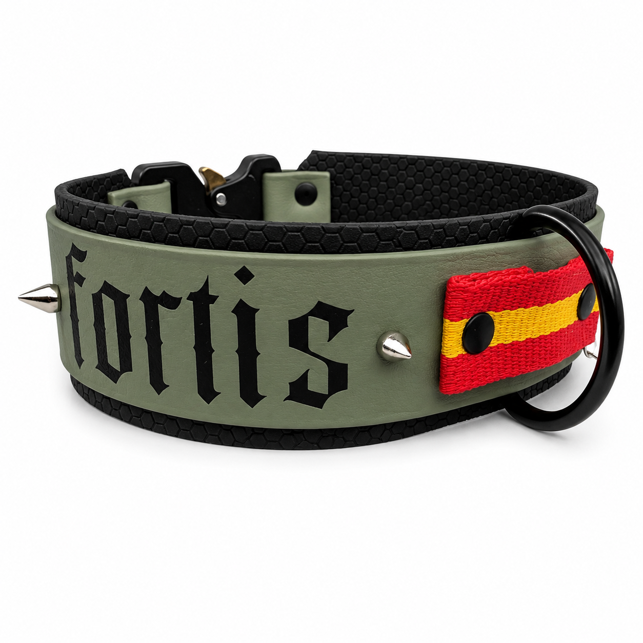 FORTIS VIRTUS