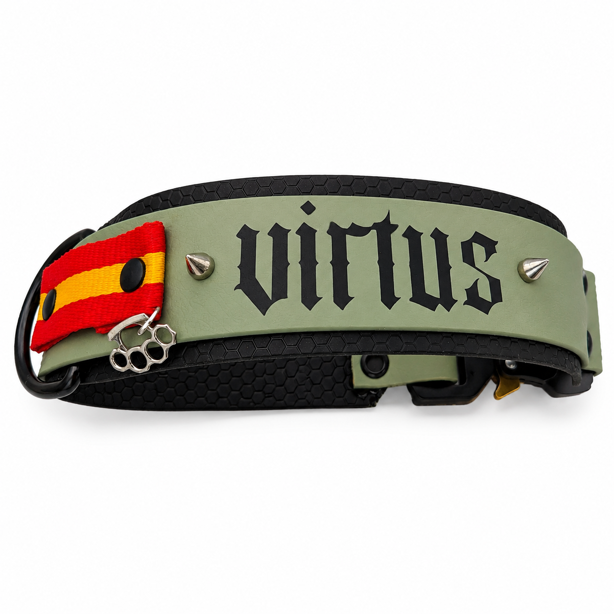 FORTIS VIRTUS