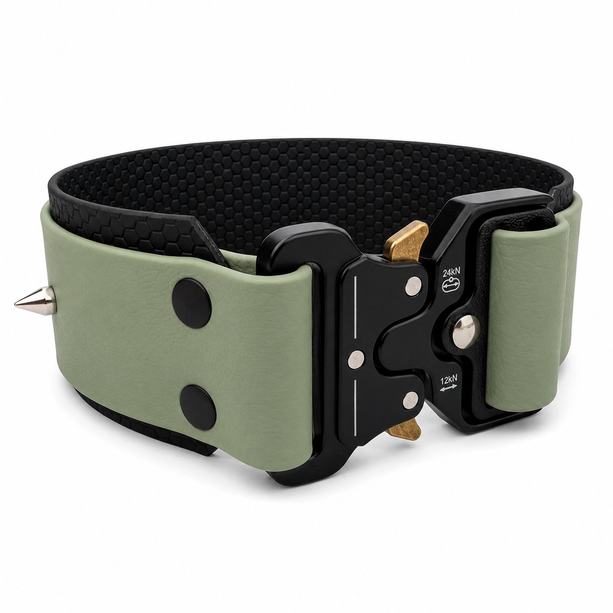FORTIS VIRTUS