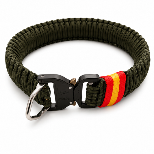 BRUTALCORD V5
