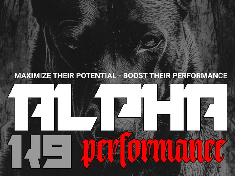 ALPHA K9 PERFORMANCE