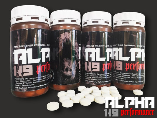 ALPHA K9 PERFORMANCE