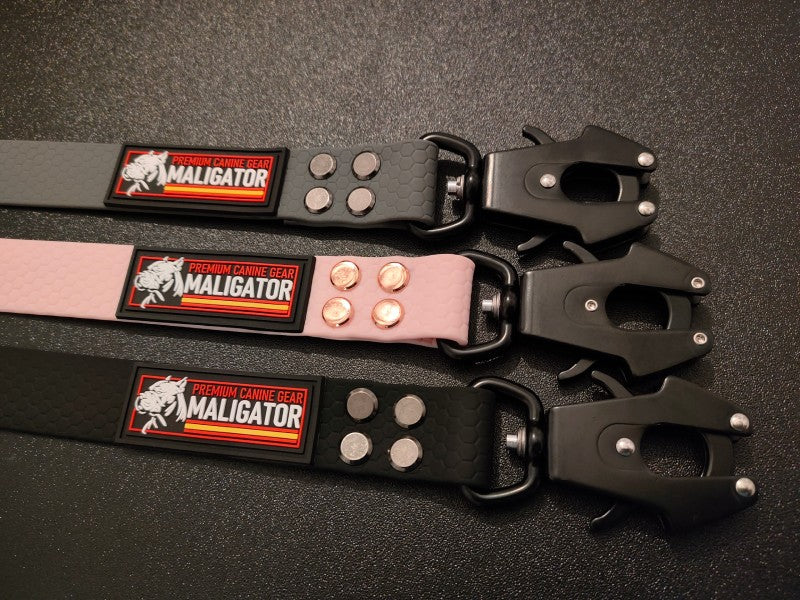 BIOFORCE LEAD