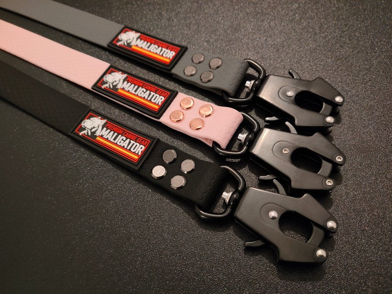 BIOFORCE LEAD