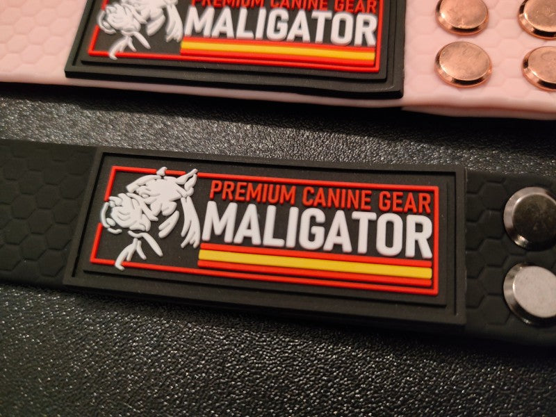 BIOFORCE LEAD