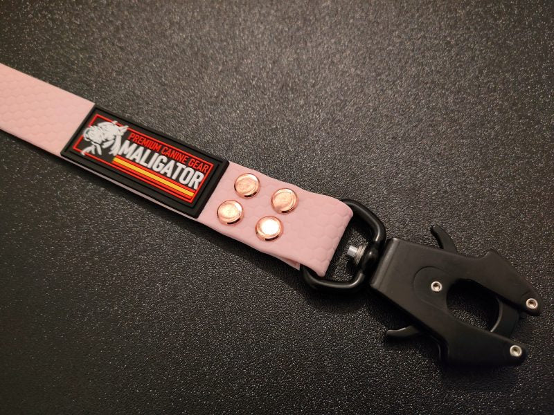BIOFORCE LEAD