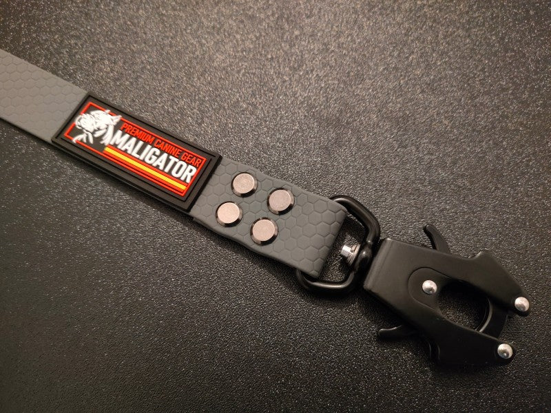 BIOFORCE LEAD