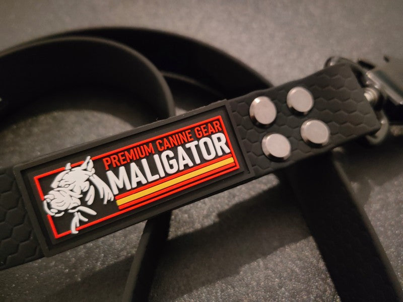 BIOFORCE LEAD