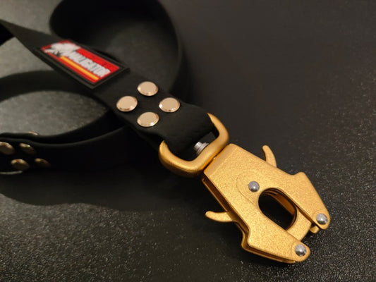 BIOFORCE LEAD GOLD
