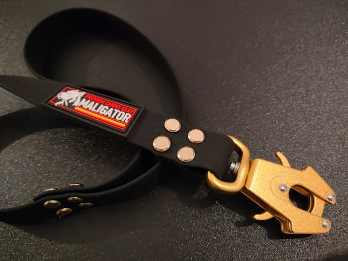 BIOFORCE LEAD GOLD